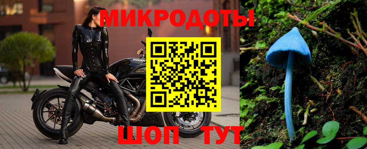 Галлюциногенные грибы Psilocybine cubensis Ижевск