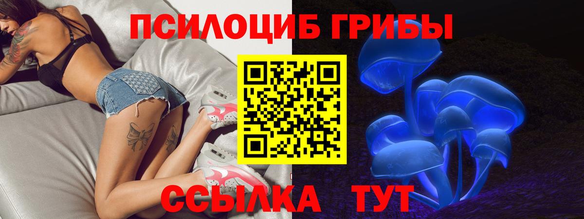 Псилоцибиновые грибы GOLDEN TEACHER  Вход с VPN  Ижевск 